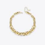 Big Chain Fashion Necklace Jewelry and Accessories