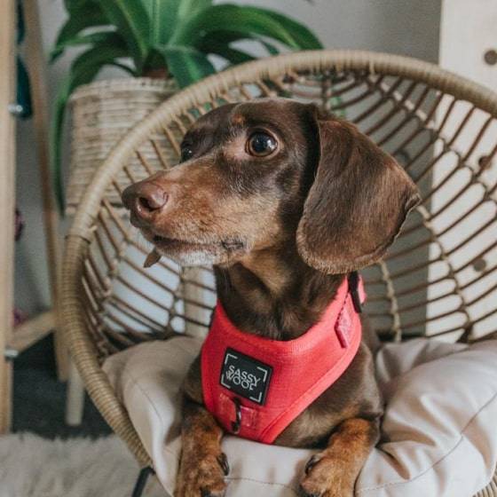 2-min (1) 4529 A4357b