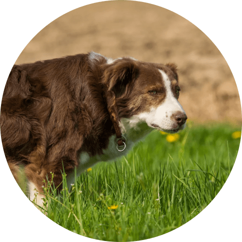 begone-min 4542 3adf22