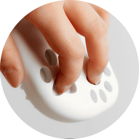 2-min - 2021-08-24T123704.935 5654 215a25