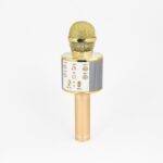 Wireless Karaoke Microphone Accessories and Supplies