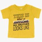 Baby Awesome Big Brother T-Shirt - I'm the Big Brother T-Shirt - Funny Family T-Shirt Clothing