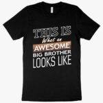 Awesome Big Brother T-Shirt - I'm the Big Brother T-Shirt - Funny Family T-Shirt Clothing