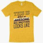 Heather Awesome Big Brother T-Shirt - I'm the Big Brother T-Shirt - Funny Family T-Shirt Clothing MADE IN THE USA New Arrivals T-Shirts