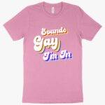 Heather Sounds Gay I'm In T-Shirt - I'm Gay T-Shirt - LGTBQ T-Shirts Clothing MADE IN THE USA New Arrivals T-Shirts