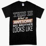 Heavy Cotton Awesome Big Brother T-Shirt - I'm the Big Brother T-Shirt - Funny Family T-Shirt Clothing MADE IN THE USA New Arrivals T-Shirts